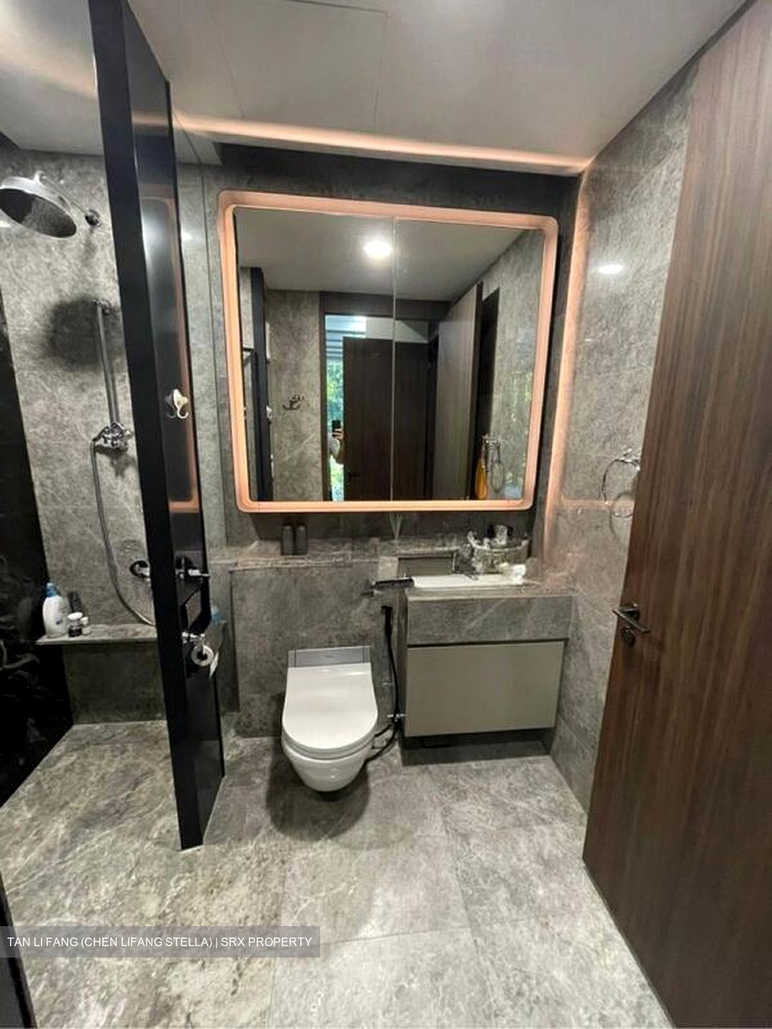 Van Holland (D10), Condominium #502468341